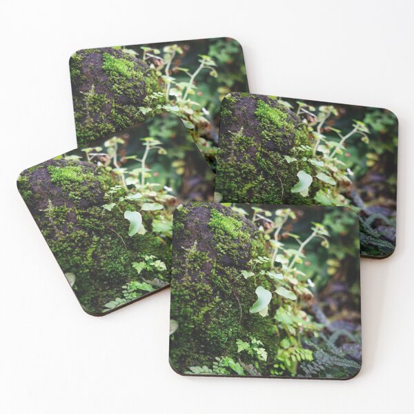 Item preview, Plantlife Zoom designed and sold by hannahguyer.