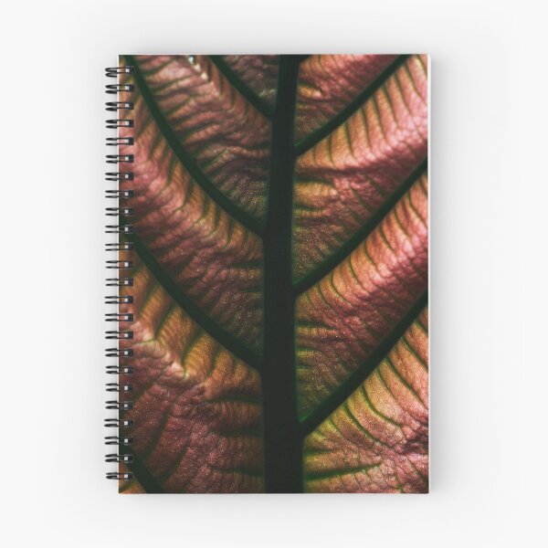 Item preview, Red Verticle designed and sold by hannahguyer.