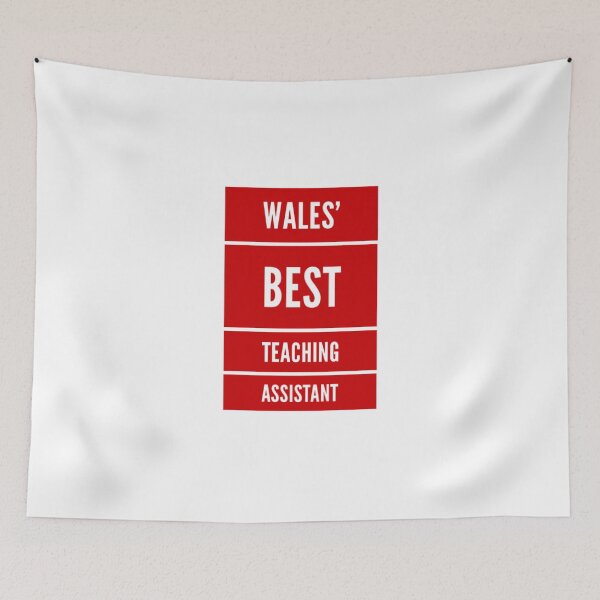 Item preview, Wales’s Best Teaching Assistant designed and sold by weavernap.