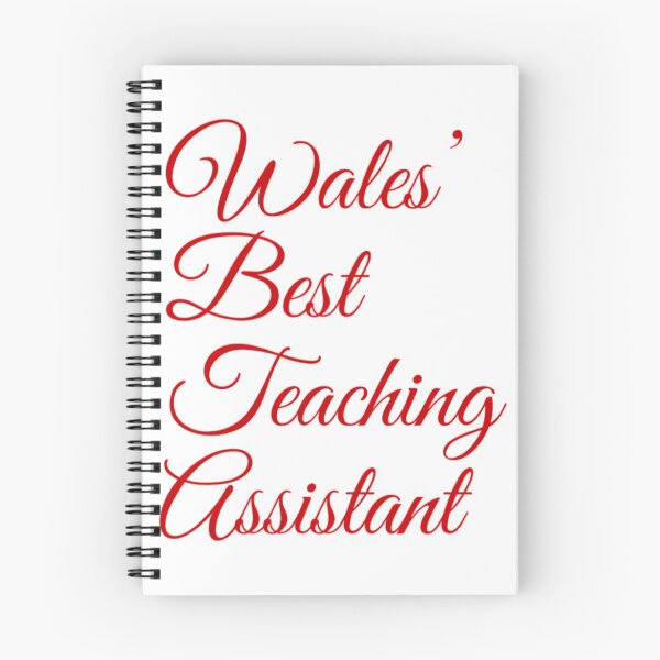 Aperçu de l'œuvre Meilleur assistant d'enseignement du Pays de Galles créée et vendue par weavernap.