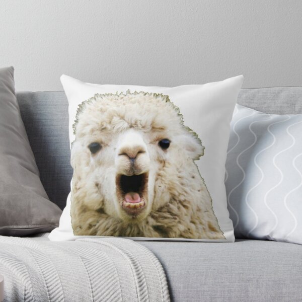 Llama Pillows & Cushions for Sale