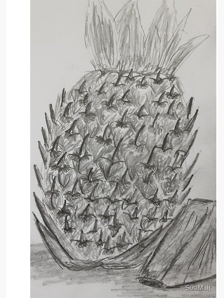 Pineapple - by Ulrike 'Ricky' Martin from Colored Pencil Art Gallery