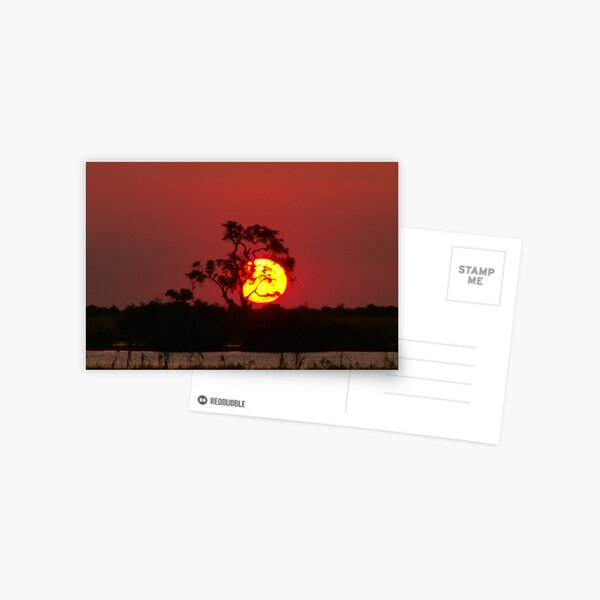 Vista previa del artículo con la obra «Sun going down . Chobe River», diseñado y vendido por MarkBraham.