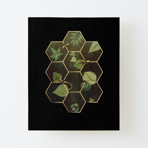 Bees in Space Canvas Mounted Print