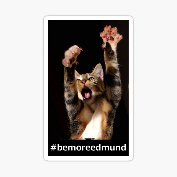 #bemoreedmund Sticker