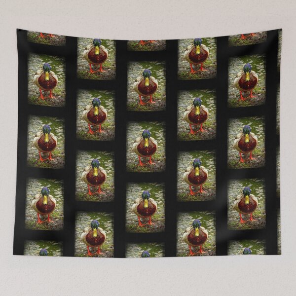 Item preview, Go ahead...make my day- duck designed and sold by BBrightman.