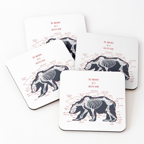 Item preview, Grizzly Bear Anatomy designed and sold by conortravers.