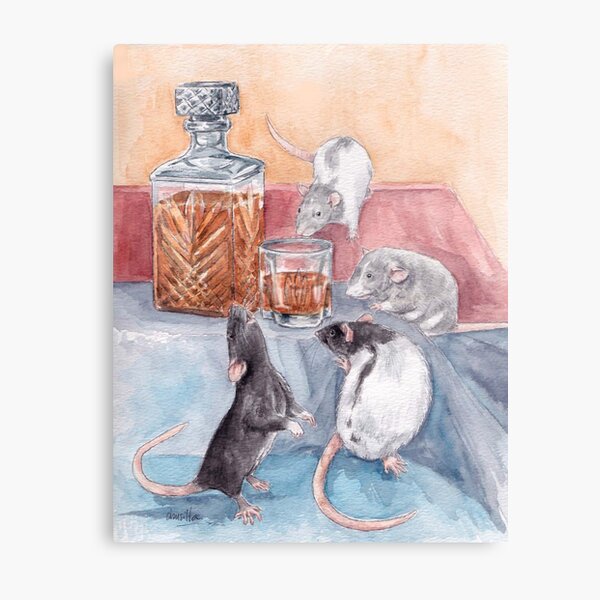 Rat Novelty Canvas Prints for Sale