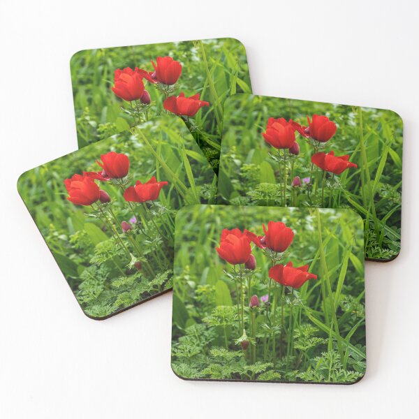 Artikelvorschau, Red natural anemones coronaria flowers in bloom in green grass entworfen und verkauft von EG Creativity Art.