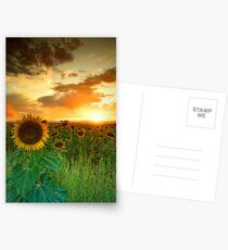 The Sunworshiper Postcards
