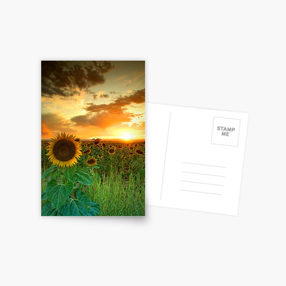 Item preview, Postcard designed and sold by kkart.