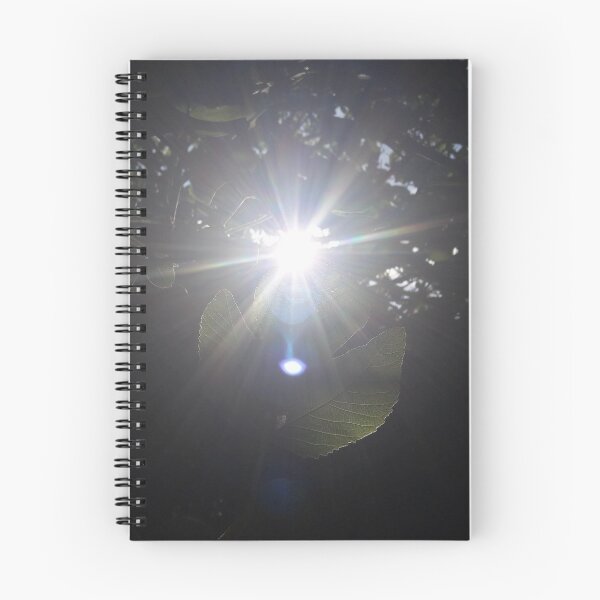 Item preview, Reflection of the fig tree designed and sold by BikersShop.