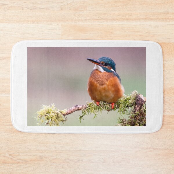 Item preview, Female Kingfisher designed and sold by Mike Cave.