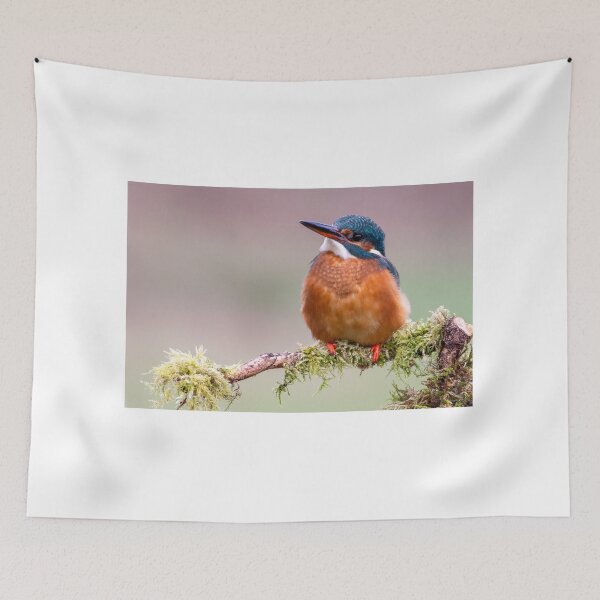 Item preview, Female Kingfisher designed and sold by Mike Cave.