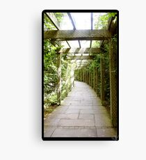 Ireland Canvas Print