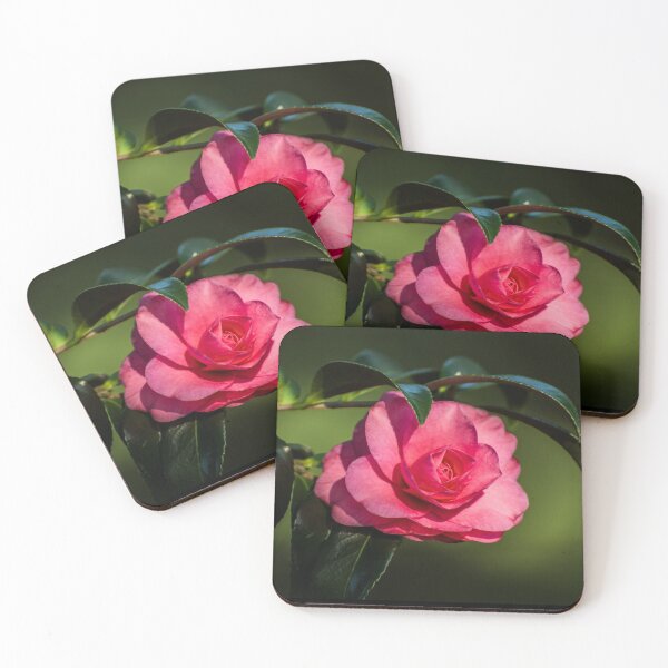 Item preview, Camellia Japonica designed and sold by Zina Stromberg.
