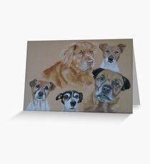 Polly's Canine Companions Greeting Card