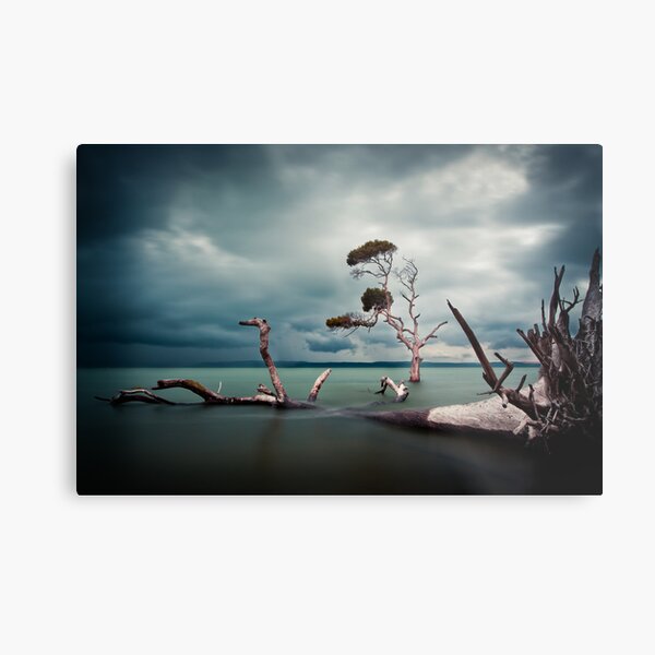 Lonesome (Moreton Bay, Queensland) Metal Print
