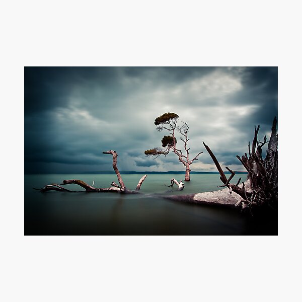 Lonesome (Moreton Bay, Queensland) Photographic Print
