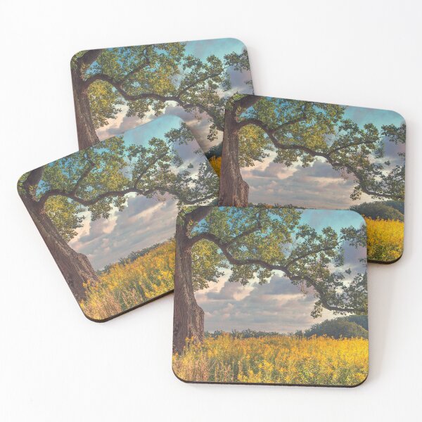 Item preview, Wisdom of a Tree designed and sold by John Rivera.