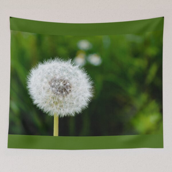 Item preview, White dandelion head blowball designed and sold by lena-maximova.