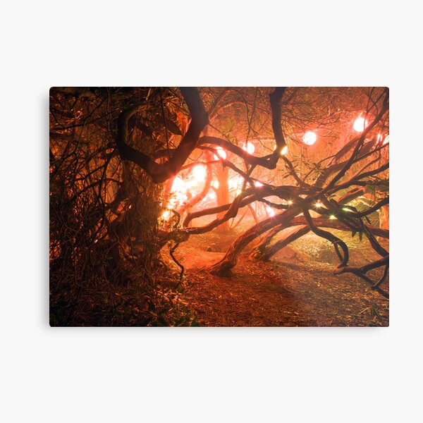 Item preview, Bedgebury - Enchanted Forest designed and sold by Dave Gray.