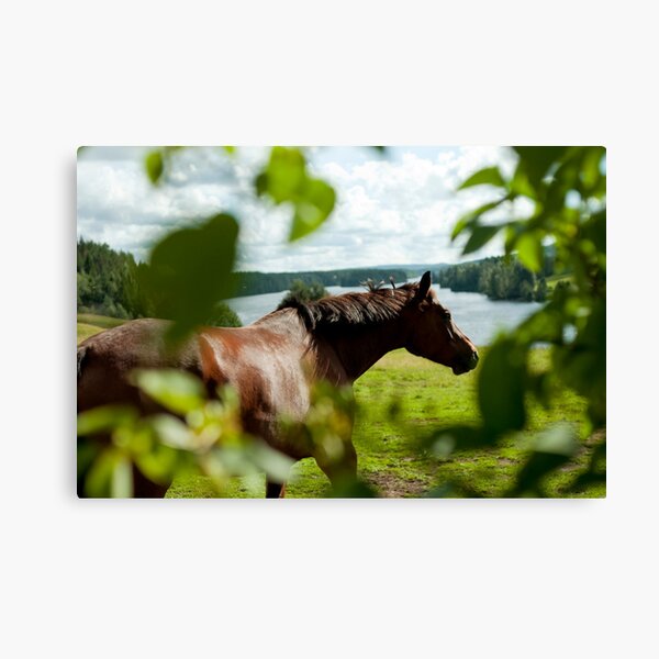 Fällfors Canvas Print