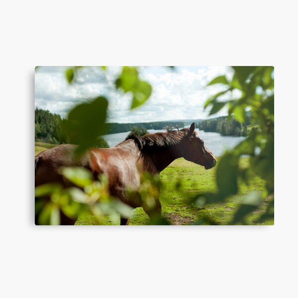 Fällfors Metal Print