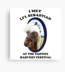 Lil Sebastian Leinwanddruck