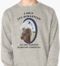 Lil Sebastian Pullover