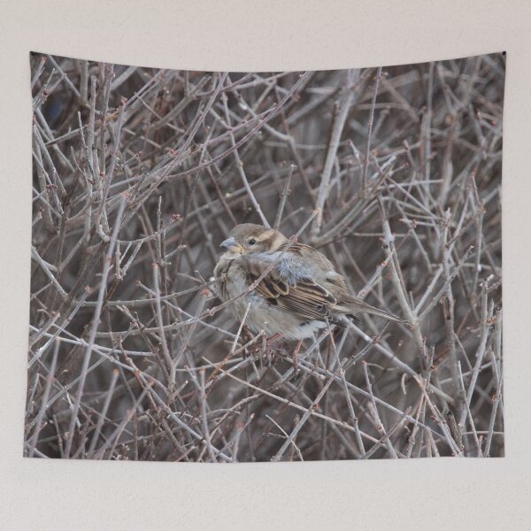 Item preview, Bird in the Bush designed and sold by Susie Kramer.