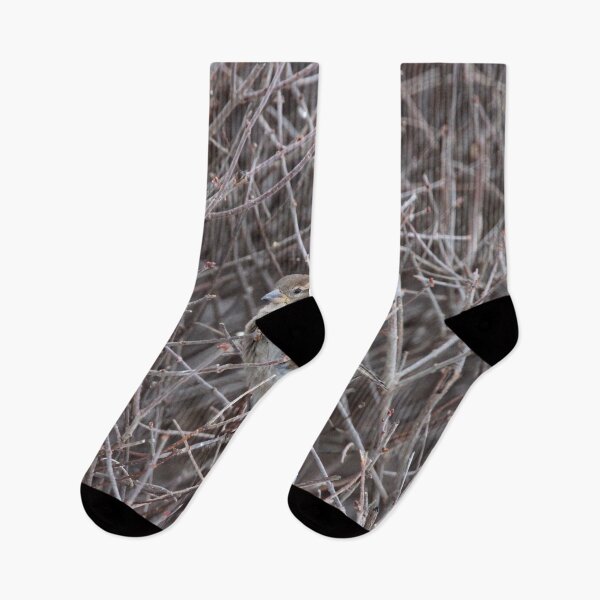 Item preview, Bird in the Bush designed and sold by Susie Kramer.