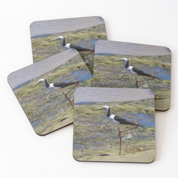 Item preview, Black Winged Stilt designed and sold by lezvee.