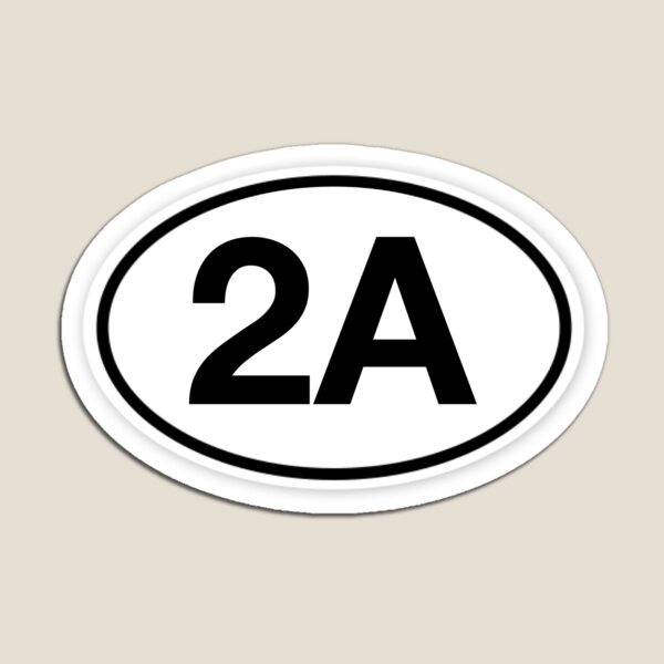 2A Oval Magnet