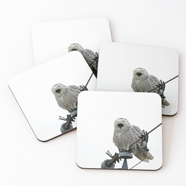 Item preview, Tired Snowy Owl designed and sold by Deb Oppermann.
