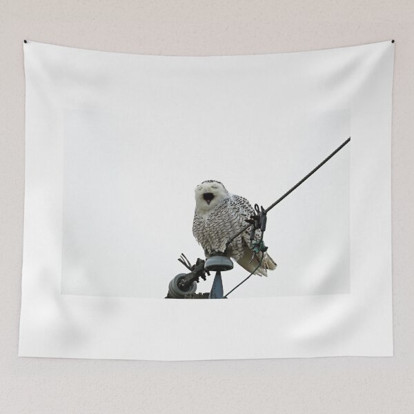 Item preview, Tired Snowy Owl designed and sold by Deb Oppermann.
