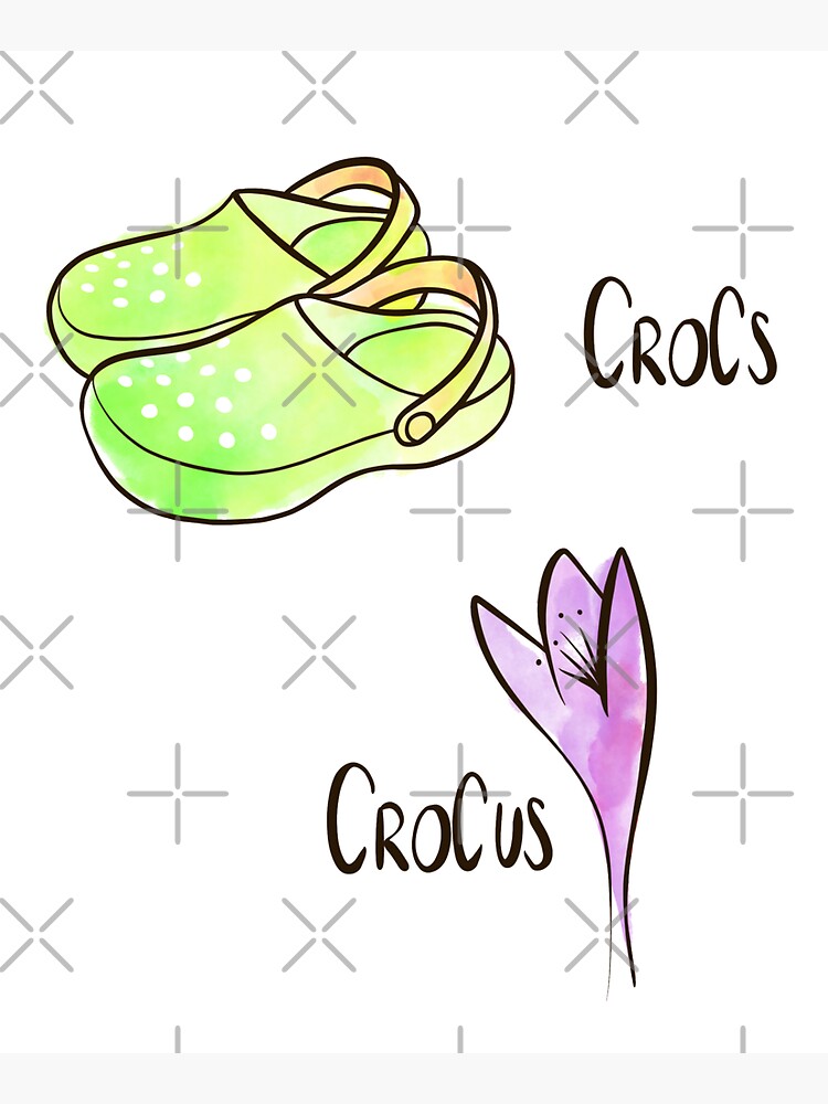 Crocs and Crocus watercolor illustration by nobelbunt