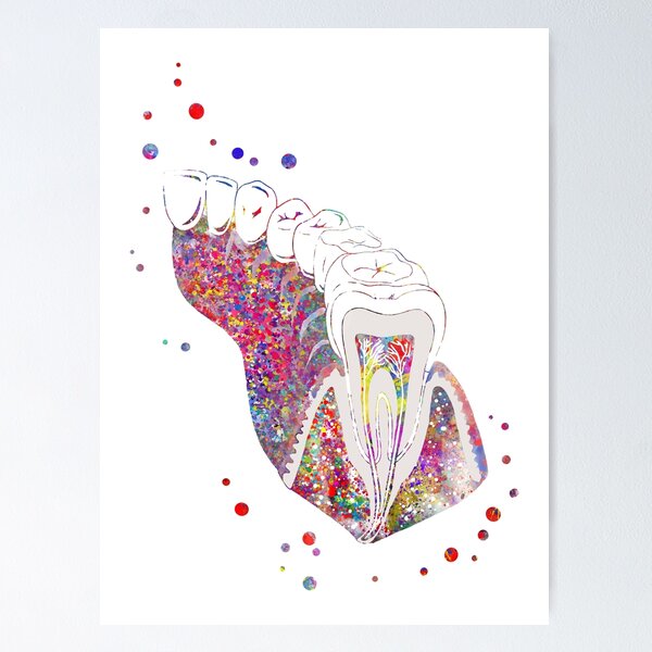 Item preview, Molar tooth section designed and sold by Rosaliartbook.