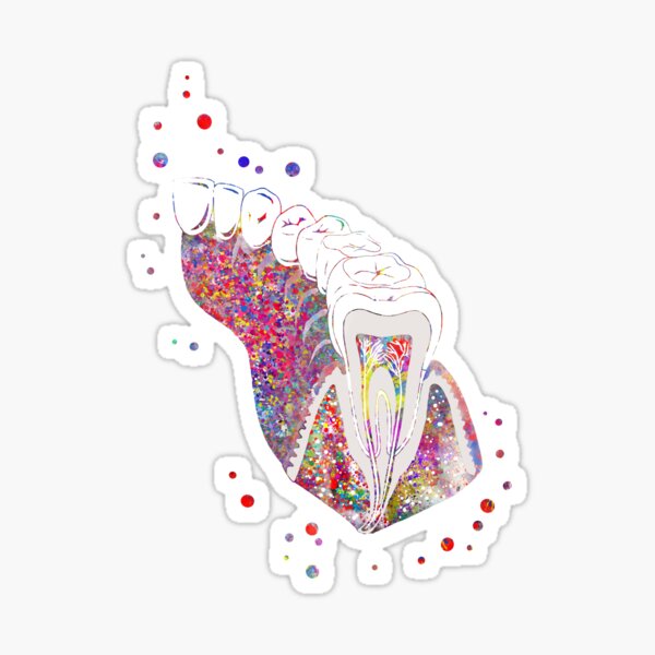 Item preview, Molar tooth section designed and sold by Rosaliartbook.