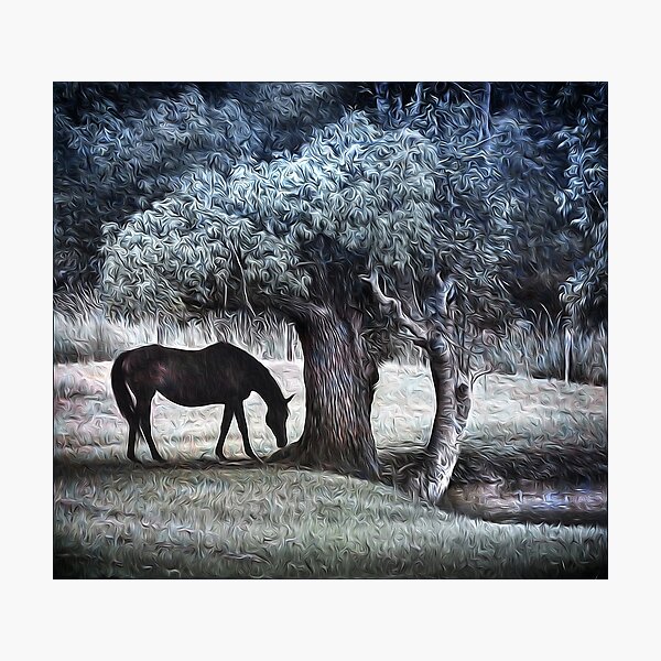 Item preview, Sheltering designed and sold by carol brandt.