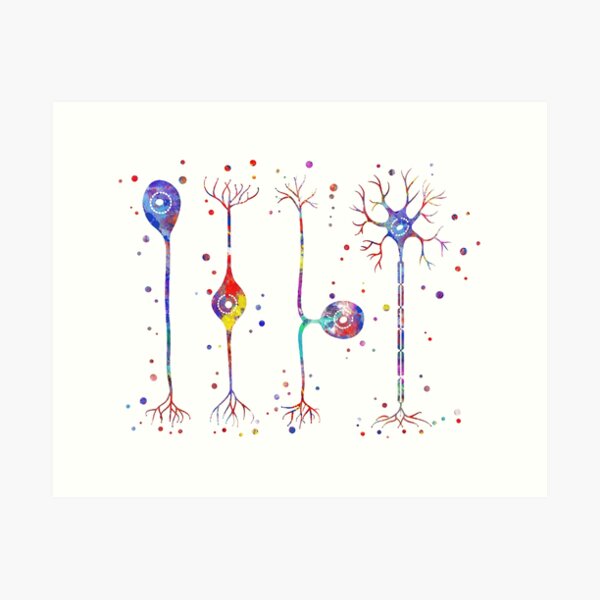 Item preview, Four types of neurons designed and sold by Rosaliartbook.
