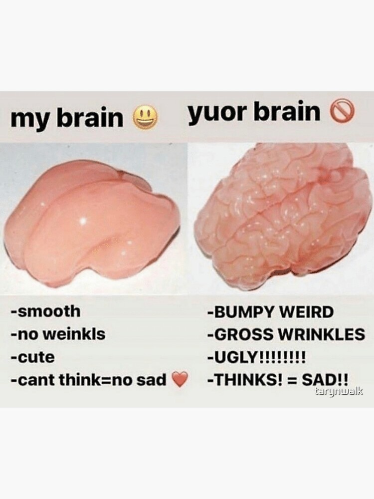 my-brain-vs-your-brain-poster-for-sale-by-tarynwalk-redbubble