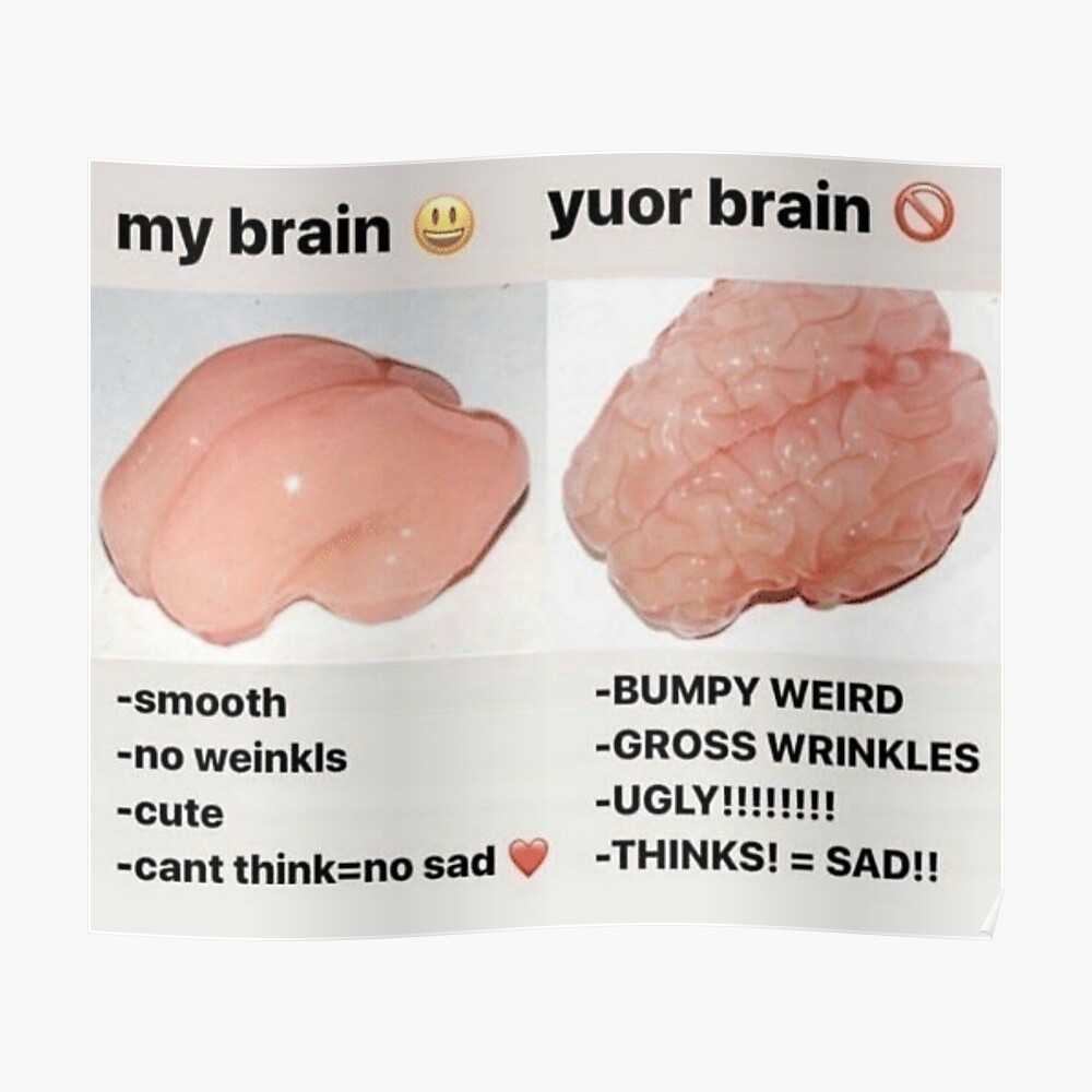 My Brain Vs Your Brain Sticker By Tarynwalk Redbubble