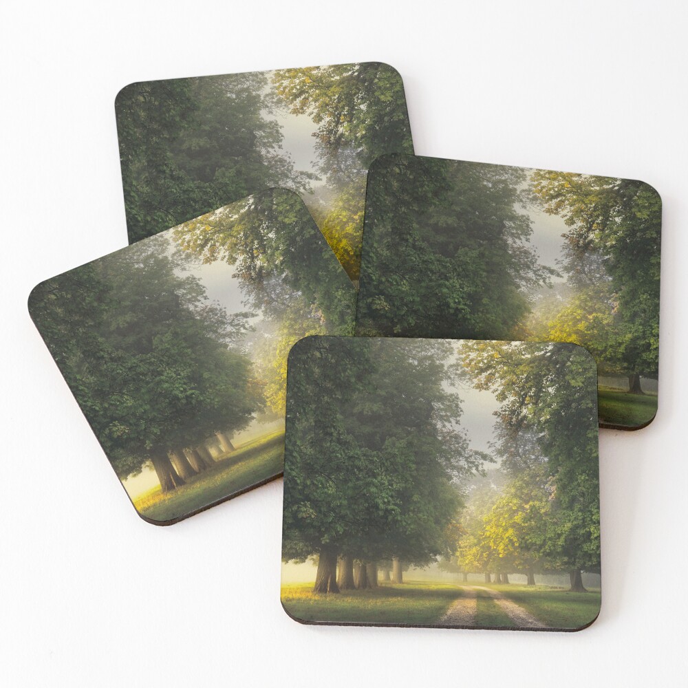 Item preview, Coasters (Set of 4) designed and sold by redtree.