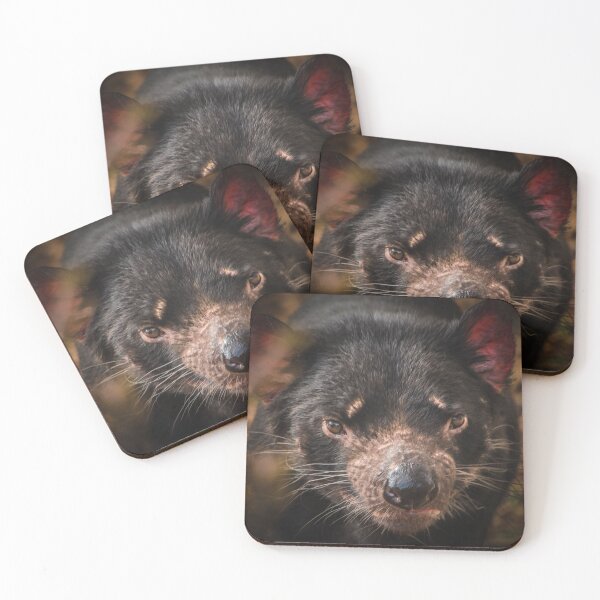 Item preview, Feisty! designed and sold by Penny Heighes.