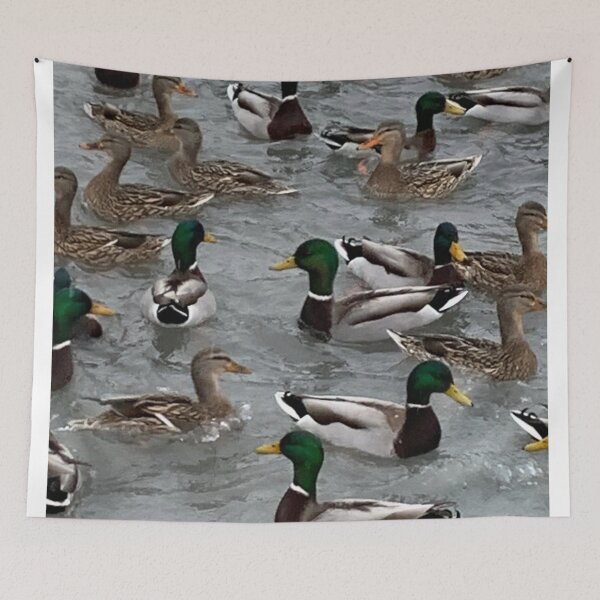 Item preview, Mallard Pond, Synchronized Swimming  designed and sold by Judydcreates.
