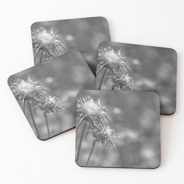 Item preview, Two seed heads. designed and sold by Anne Scantlebury.