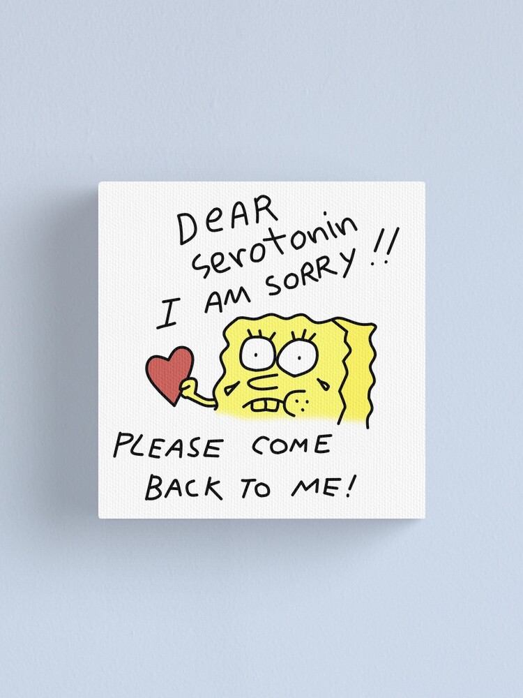 spongebob dear serotonin i am sorry please come back to me canvas print by tarynwalk redbubble spongebob dear serotonin i am sorry please come back to me canvas print by tarynwalk redbubble