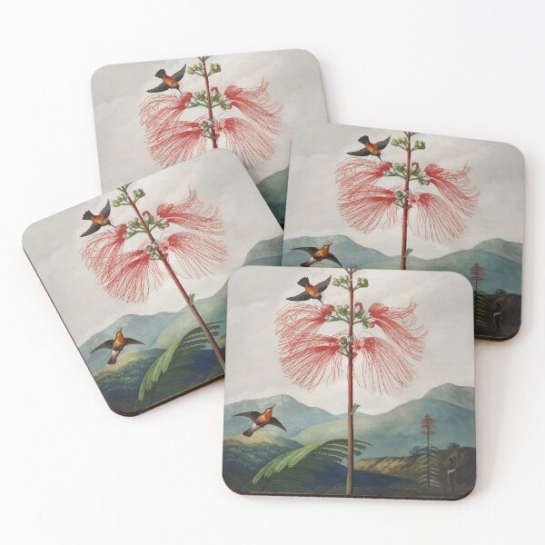 Item preview, Large–Flowering Sensitive Plant The Temple of Flora Robert John Thornton designed and sold by digitalvintage.