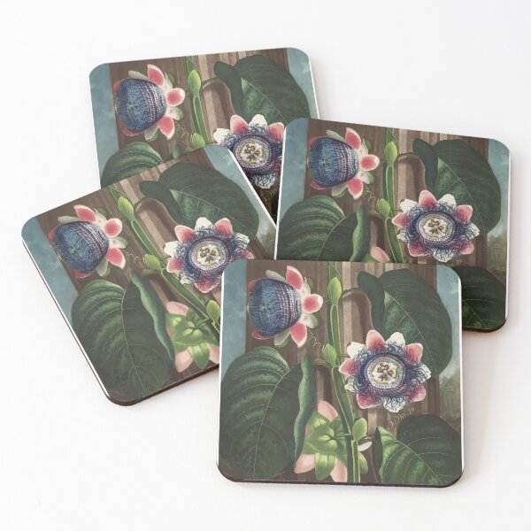 Item preview, The Quadrangular Passion Flower The Temple of Flora Robert John Thornton designed and sold by digitalvintage.